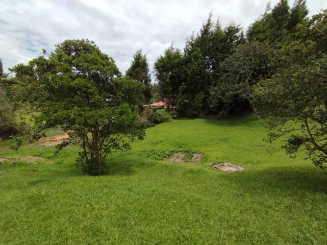 Casa de 5 alcobas en arriendo en Hojas Anchas, Guarne, 285 m² · foto 12 de 14
