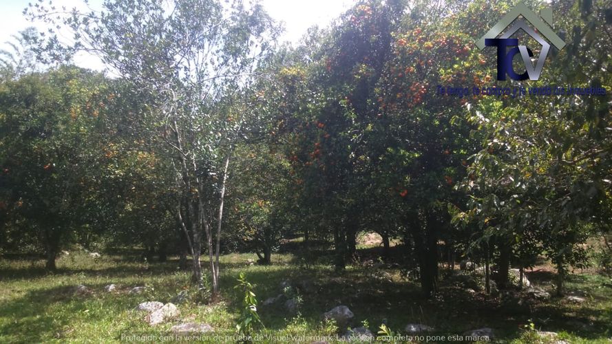 Finca en venta en El Recreo, Piedecuesta, 22000 m² · foto 3 de 22