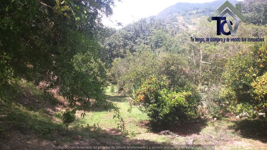 Finca en venta en El Recreo, Piedecuesta, 22000 m² · foto 4 de 22