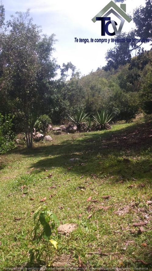 Finca en venta en El Recreo, Piedecuesta, 22000 m² · foto 5 de 22
