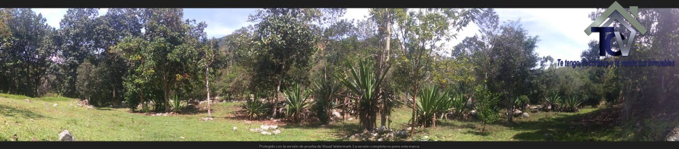 Finca en venta en El Recreo, Piedecuesta, 22000 m² · foto 6 de 22