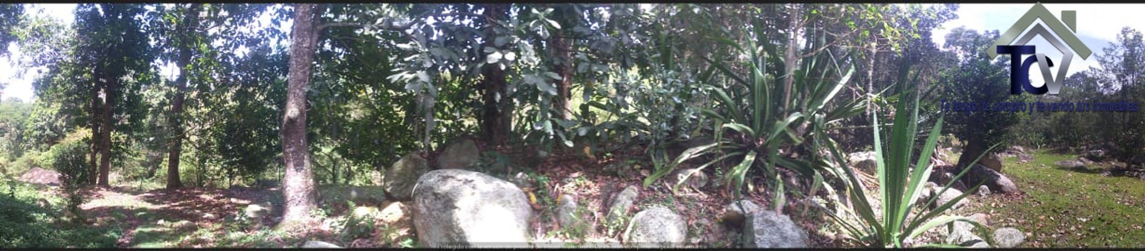 Finca en venta en El Recreo, Piedecuesta, 22000 m² · foto 7 de 22