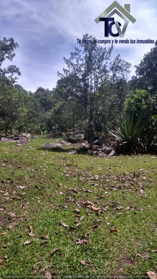 Finca en venta en El Recreo, Piedecuesta, 22000 m² · foto 9 de 22