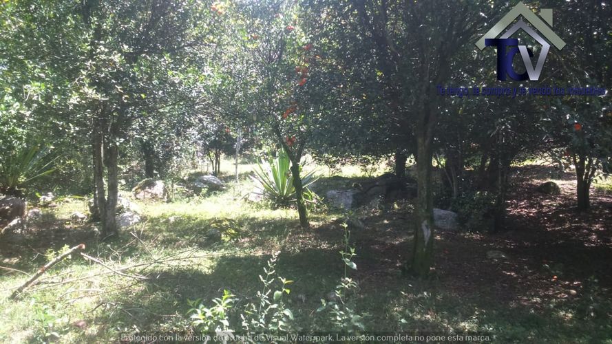 Finca en venta en El Recreo, Piedecuesta, 22000 m² · foto 11 de 22