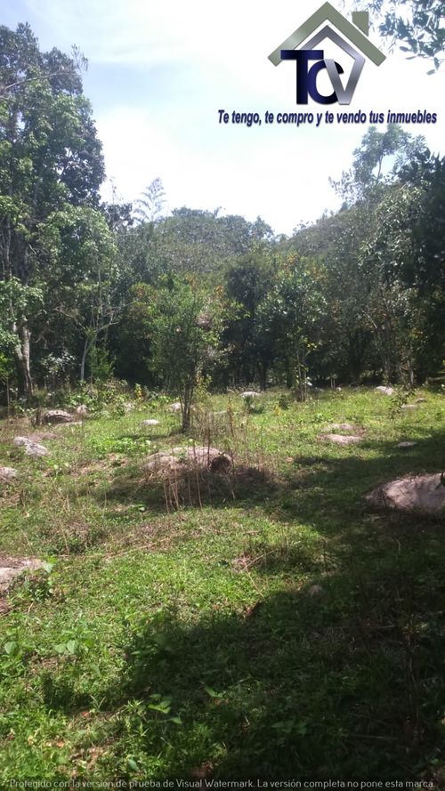 Finca en venta en El Recreo, Piedecuesta, 22000 m² · foto 12 de 22