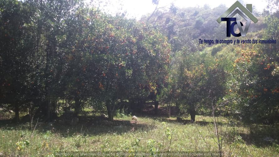 Finca en venta en El Recreo, Piedecuesta, 22000 m² · foto 13 de 22