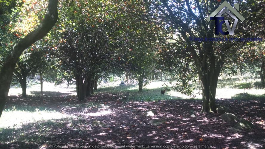 Finca en venta en El Recreo, Piedecuesta, 22000 m² · foto 14 de 22