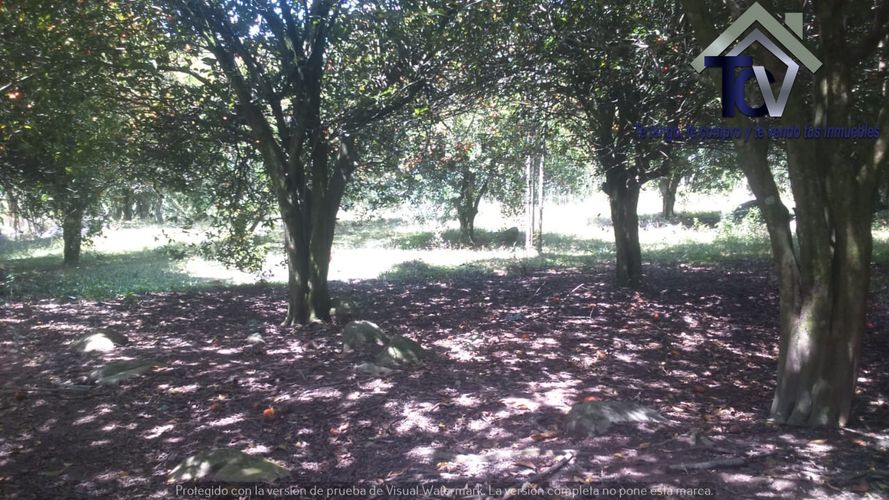 Finca en venta en El Recreo, Piedecuesta, 22000 m² · foto 15 de 22