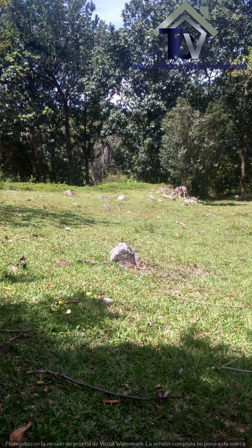 Finca en venta en El Recreo, Piedecuesta, 22000 m² · foto 16 de 22