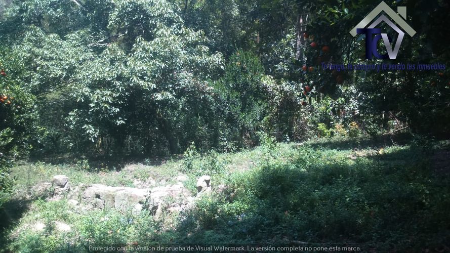 Finca en venta en El Recreo, Piedecuesta, 22000 m² · foto 17 de 22