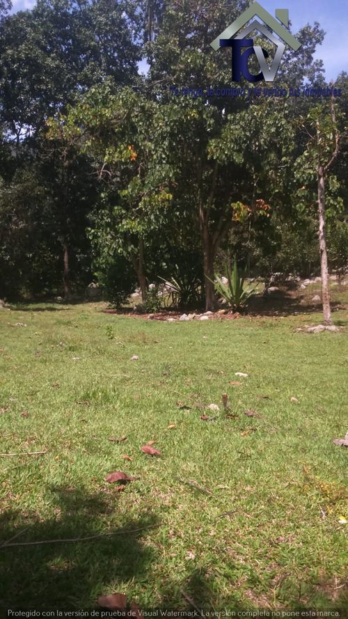 Finca en venta en El Recreo, Piedecuesta, 22000 m² · foto 18 de 22