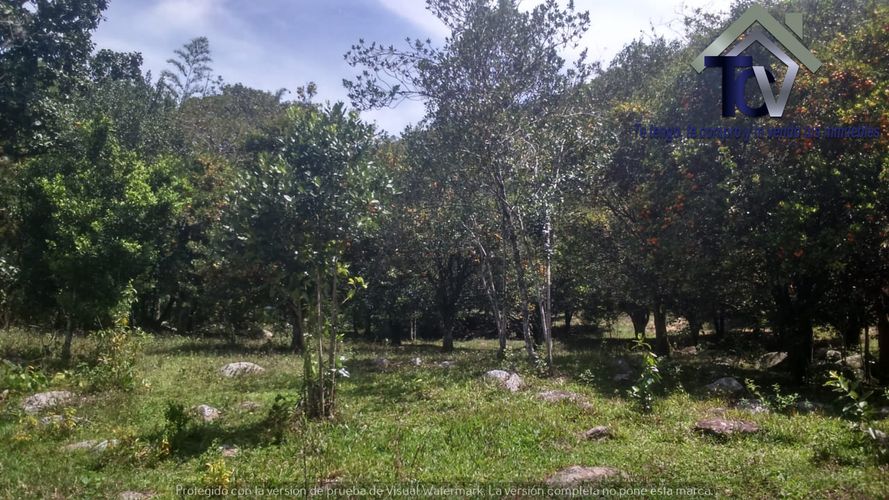 Finca en venta en El Recreo, Piedecuesta, 22000 m² · foto 19 de 22