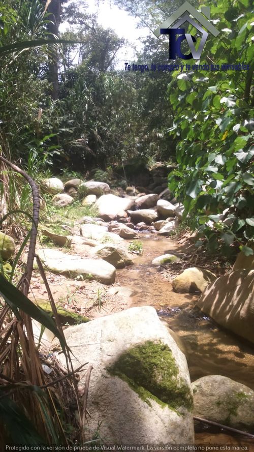 Finca en venta en El Recreo, Piedecuesta, 22000 m² · foto 20 de 22