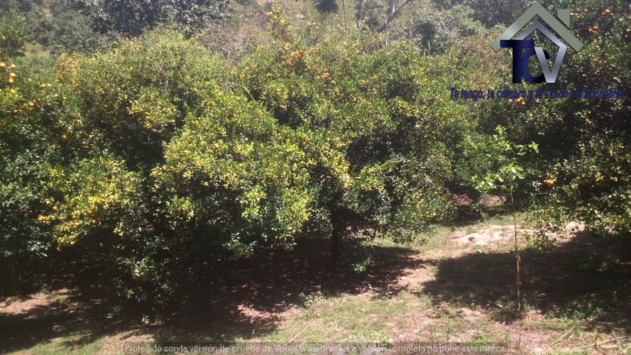 Finca en venta en El Recreo, Piedecuesta, 22000 m² · foto 21 de 22