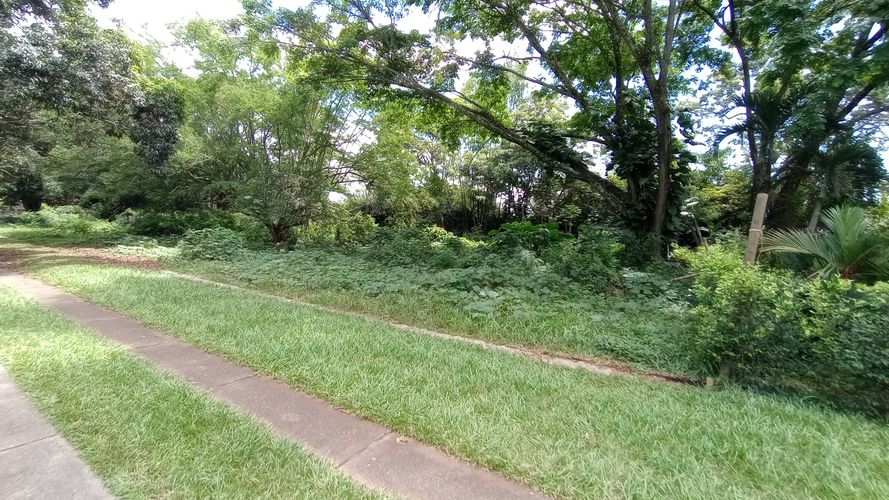 Lote en venta en Pance Bajo, Cali · foto 3 de 12