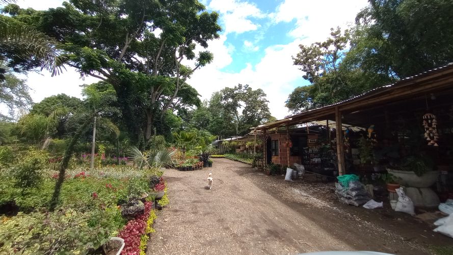 Lote en venta en Pance Bajo, Cali · foto 6 de 12