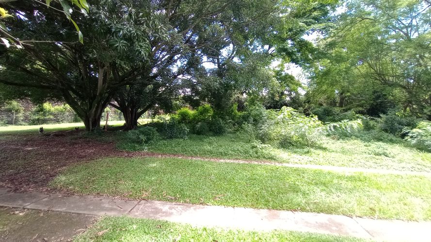 Lote en venta en Pance Bajo, Cali · foto 8 de 12