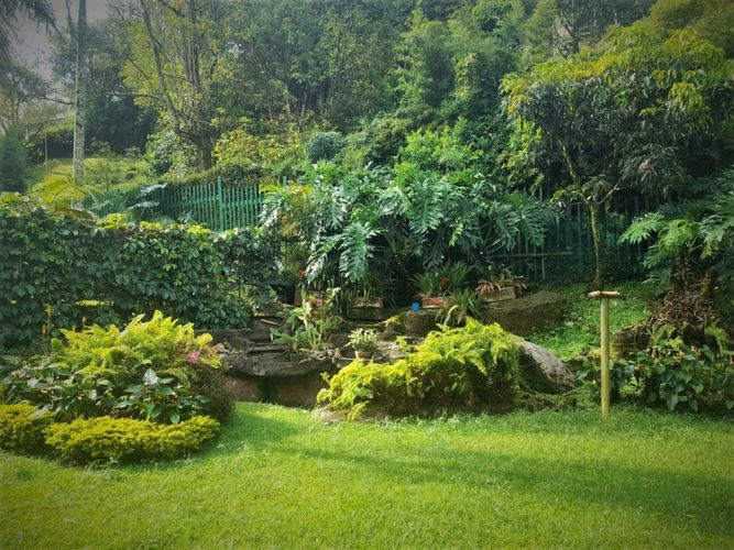 Casa de 4 alcobas en venta en El Tesoro, Medellín, 440 m² · foto 10 de 24