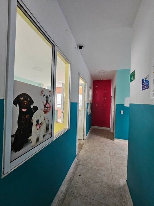 Edificio en venta en El Templete, Cali, 550 m² · foto 22 de 24