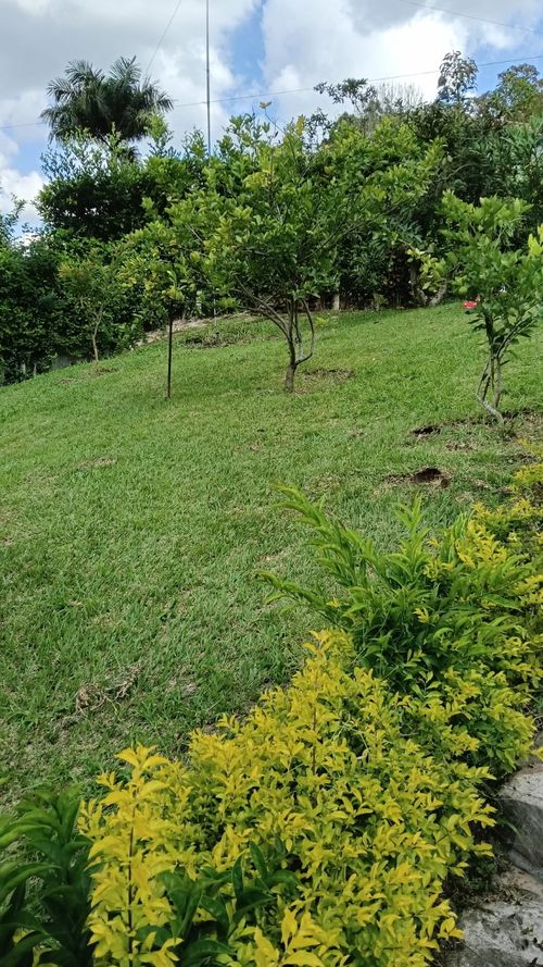 Casa de 4 alcobas en venta en Los Llanitos, Piedecuesta, 1000 m² · foto 14 de 24