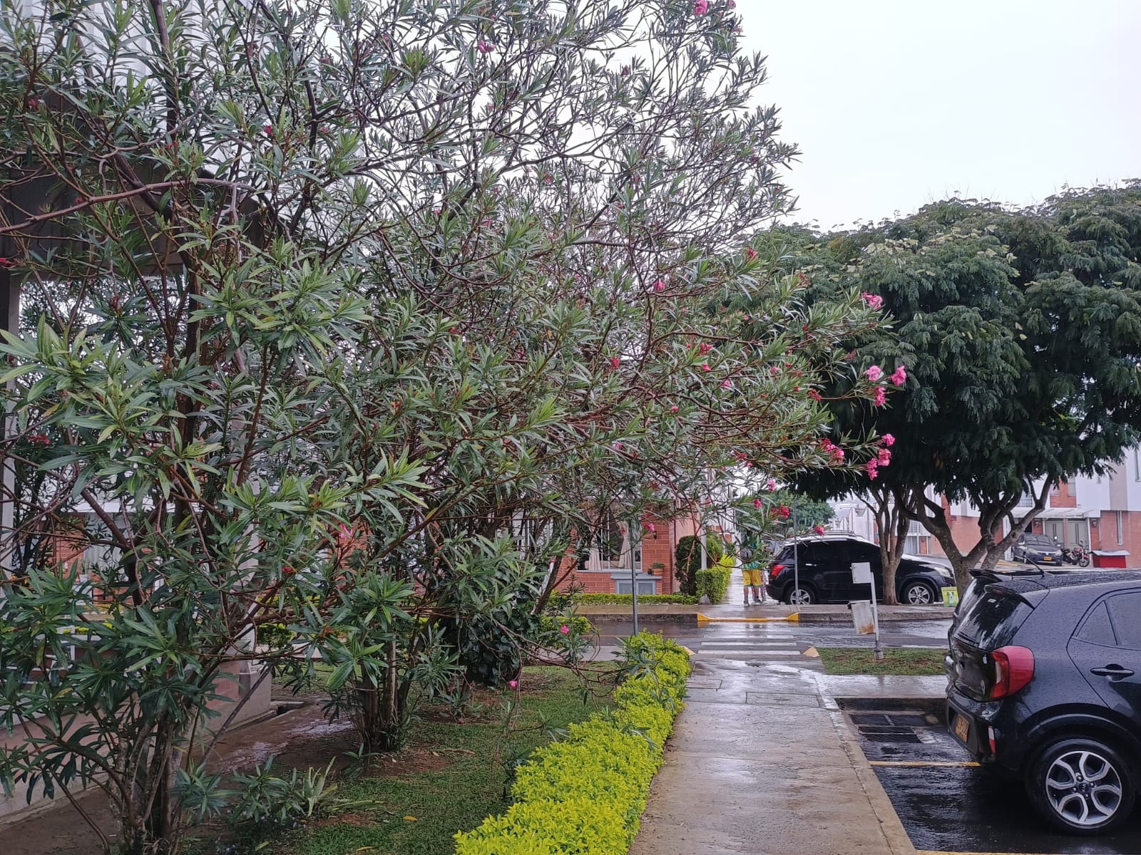 Casa en venta en Los Prados, Pereira · foto 9 de 13