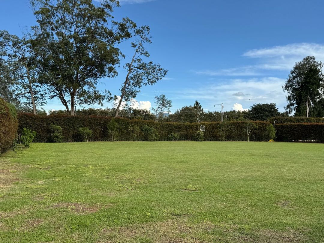 Land in Llano Grande (2430 m²) for Sale - 3