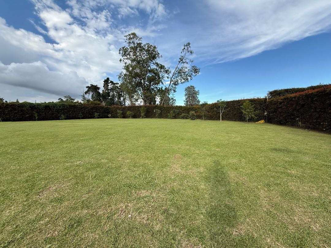 Land in Llano Grande (2430 m²) for Sale - 4