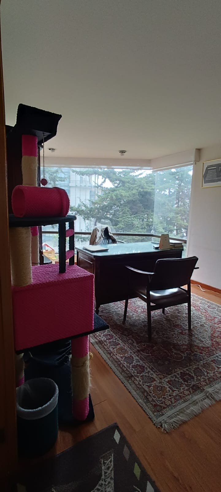 Apartamento en venta en Rincon Del Chico, Bogotá · foto 3 de 24