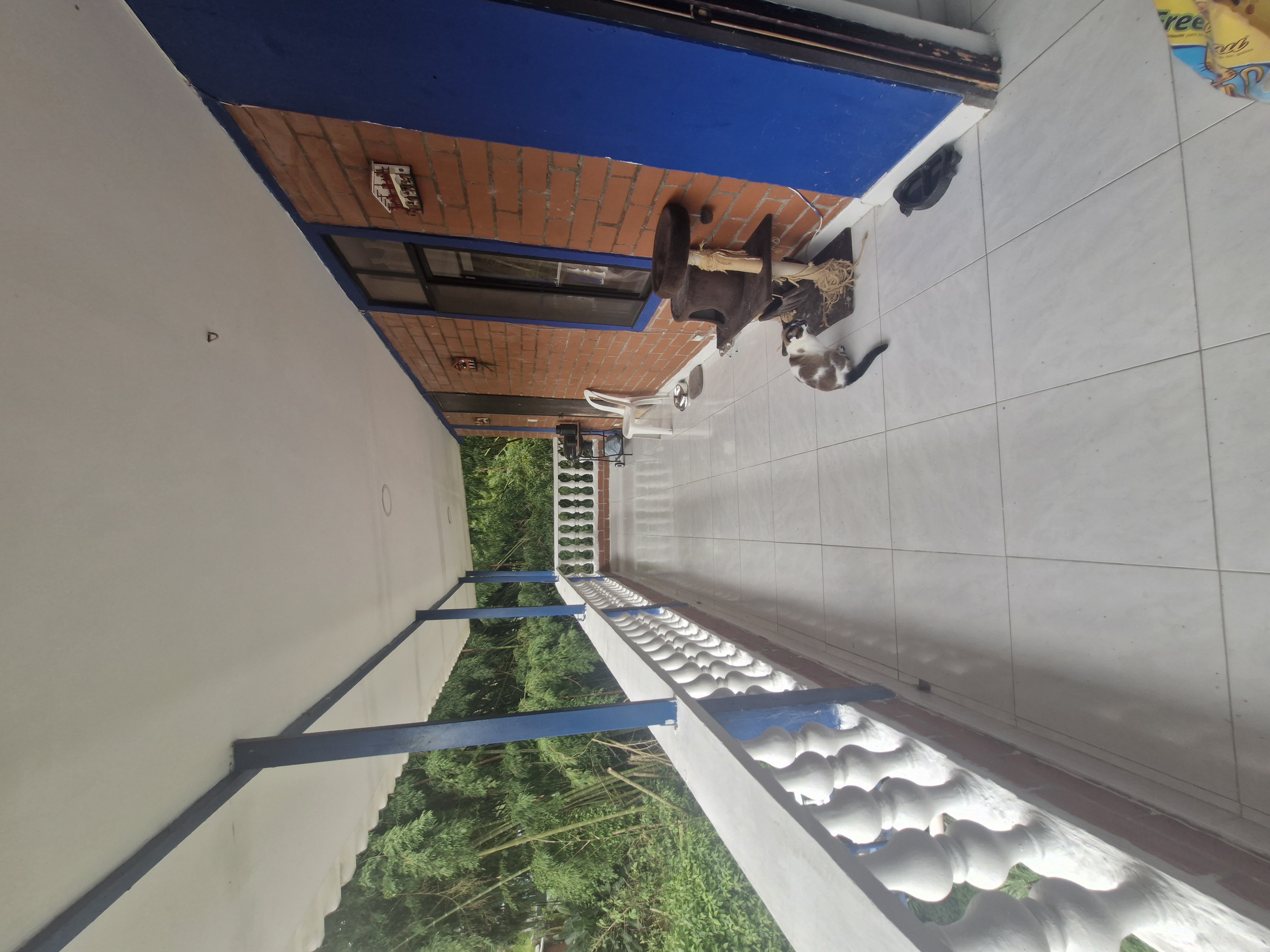 Casa en venta en Molivento, Dosquebradas · foto 6 de 22