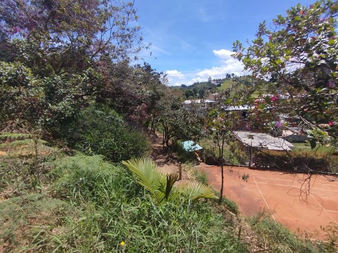 Lote en venta en Chaparral, Guarne, 3500 m² · foto 11 de 12
