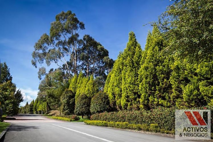 Lote en venta en Las Palmas, Envigado, 8612 m² · foto 5 de 18