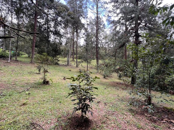 Lote en venta en El Retiro, 6135 m² · foto 4 de 10