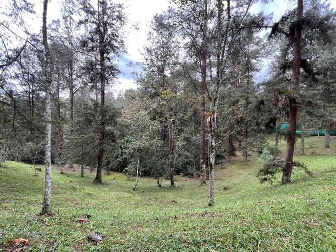 Lote en venta en El Retiro, 6135 m² · foto 9 de 10