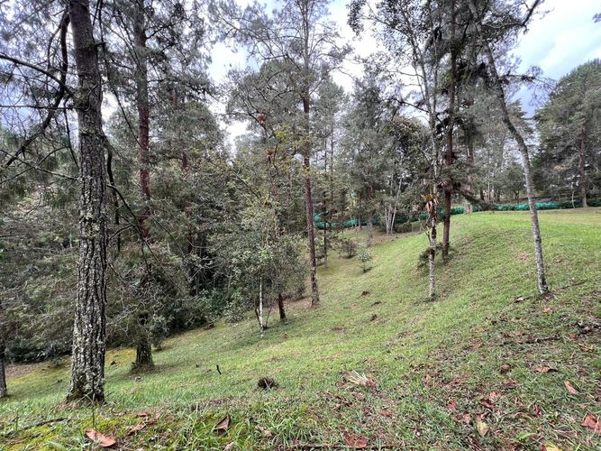 Lote en venta en El Retiro, 6135 m² · foto 10 de 10