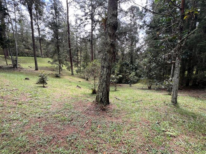 Lote en venta en El Retiro, 6135 m² · foto 8 de 10