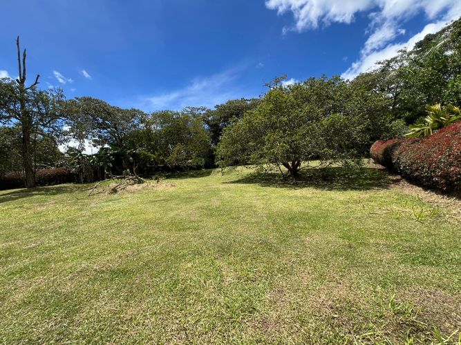 Lote en venta en Guayabito, Rionegro, 2456 m² · foto 7 de 7