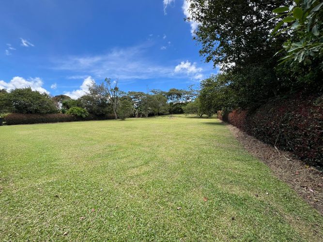 Lote en venta en Guayabito, Rionegro, 2456 m² · foto 5 de 7