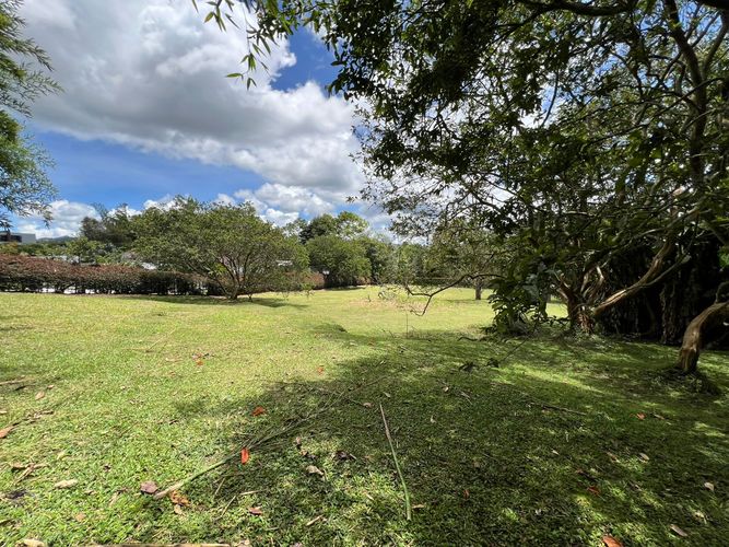 Lote en venta en Guayabito, Rionegro, 2456 m² · foto 6 de 7