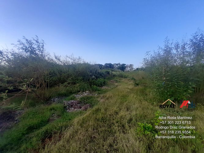 Lote en venta en Sabanilla, Puerto Colombia, 1129 m² · foto 8 de 24