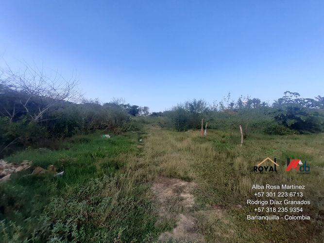 Lote en venta en Sabanilla, Puerto Colombia, 1129 m² · foto 9 de 24