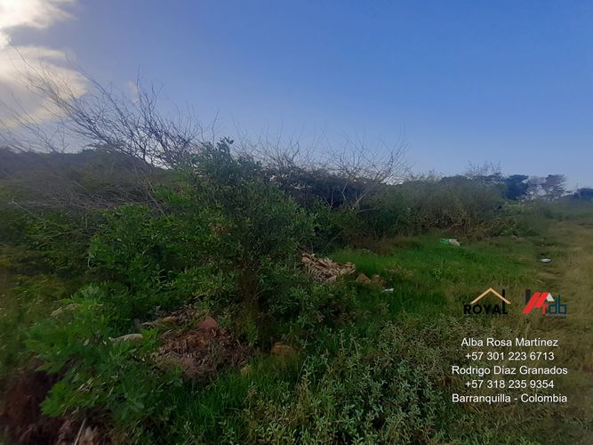 Lote en venta en Sabanilla, Puerto Colombia, 1129 m² · foto 24 de 24