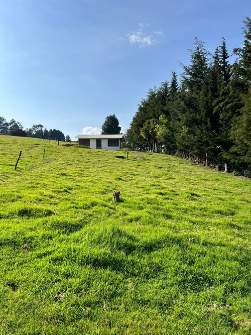 Casa de 3 alcobas en venta en Yerbabuena, Chía, 20 m² · foto 6 de 24