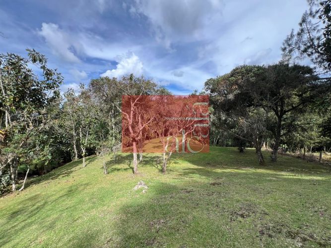 Casa de 4 alcobas en venta en Loma Del Escobero, Envigado · foto 6 de 24