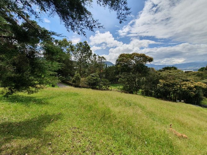 Lote en venta en El Tambo, La Ceja, 6463 m² · foto 3 de 15
