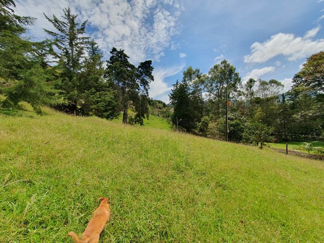 Lote en venta en El Tambo, La Ceja, 6463 m² · foto 5 de 15