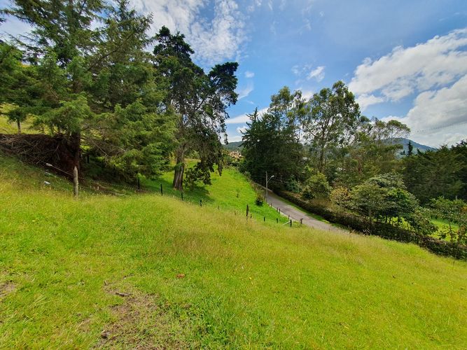 Lote en venta en El Tambo, La Ceja, 6463 m² · foto 11 de 15