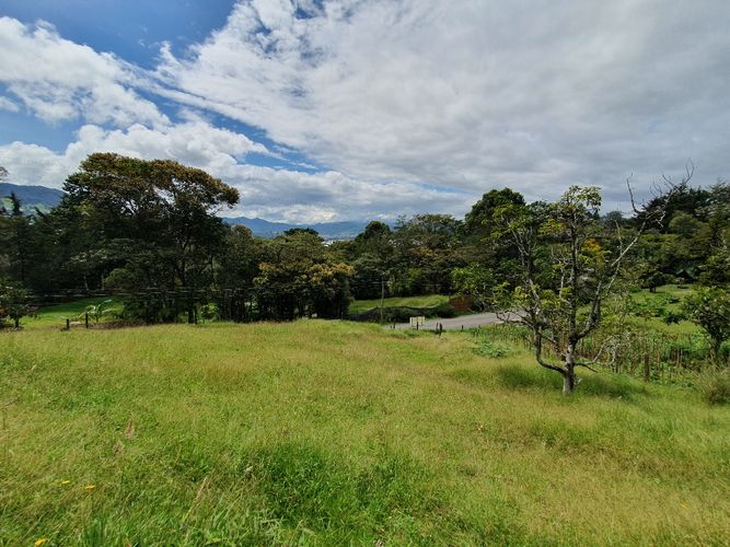 Lote en venta en El Tambo, La Ceja, 6463 m² · foto 12 de 15