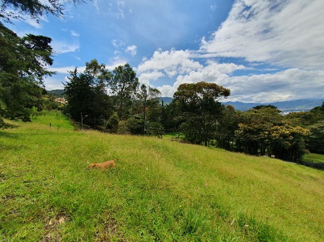 Lote en venta en El Tambo, La Ceja, 6463 m² · foto 14 de 15