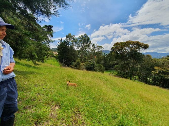 Lote en venta en El Tambo, La Ceja, 6463 m² · foto 15 de 15