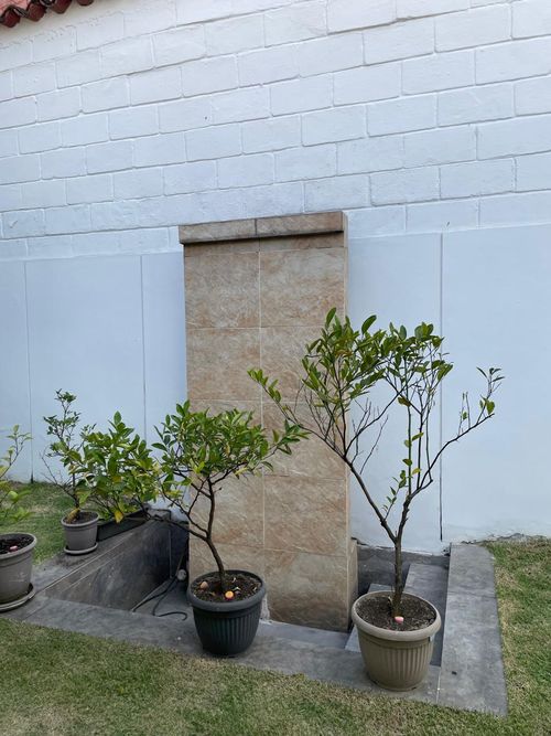 Casa de 3 alcobas en venta en Cristales, Cali, 400 m² · foto 12 de 24